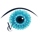 Veselovska Vision Clinic Logo