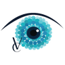 Veselovska Vision Clinic Logo